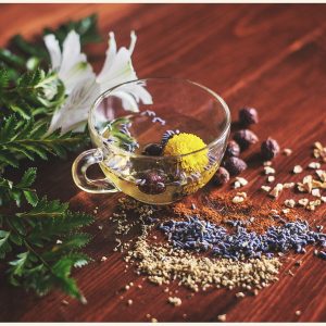 Ayurvedisches Fasten, Bewegung und Yoga für Gesundheit im Alltag und Beruf | Spiekeroog