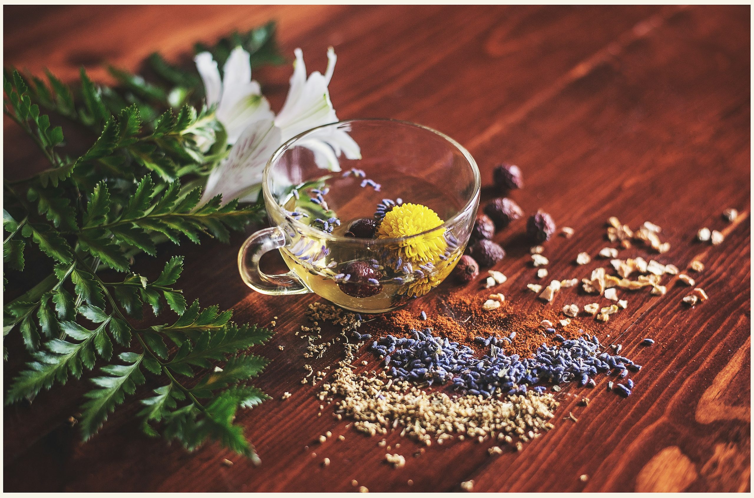 Ayurvedisches Fasten, Bewegung und Yoga für Gesundheit im Alltag und Beruf | Spiekeroog