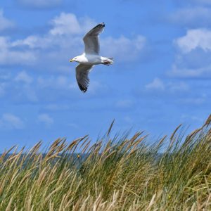 Tief durchatmen auf der Insel Langeoog