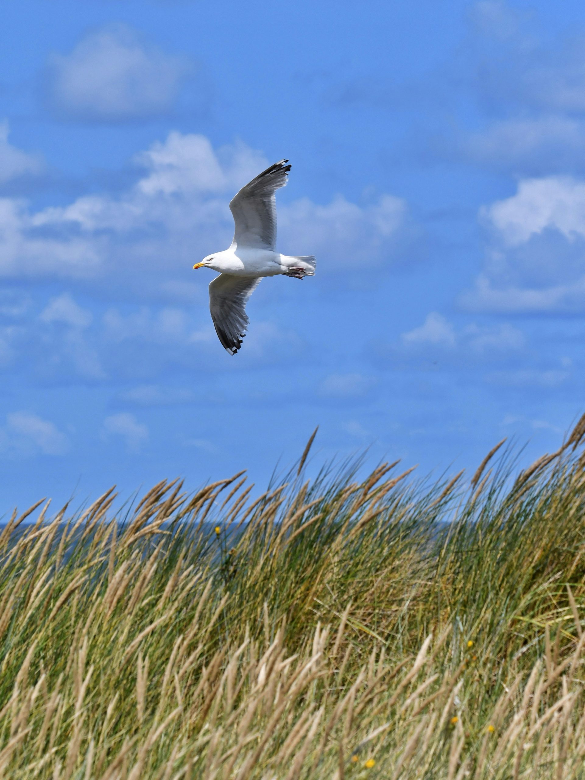 Tief durchatmen auf der Insel Langeoog