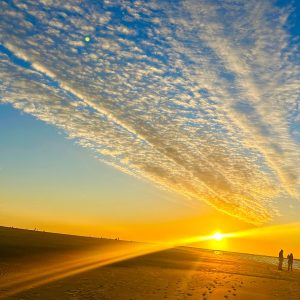 Naturerfahrung durch Yoga und Bewegungswellness