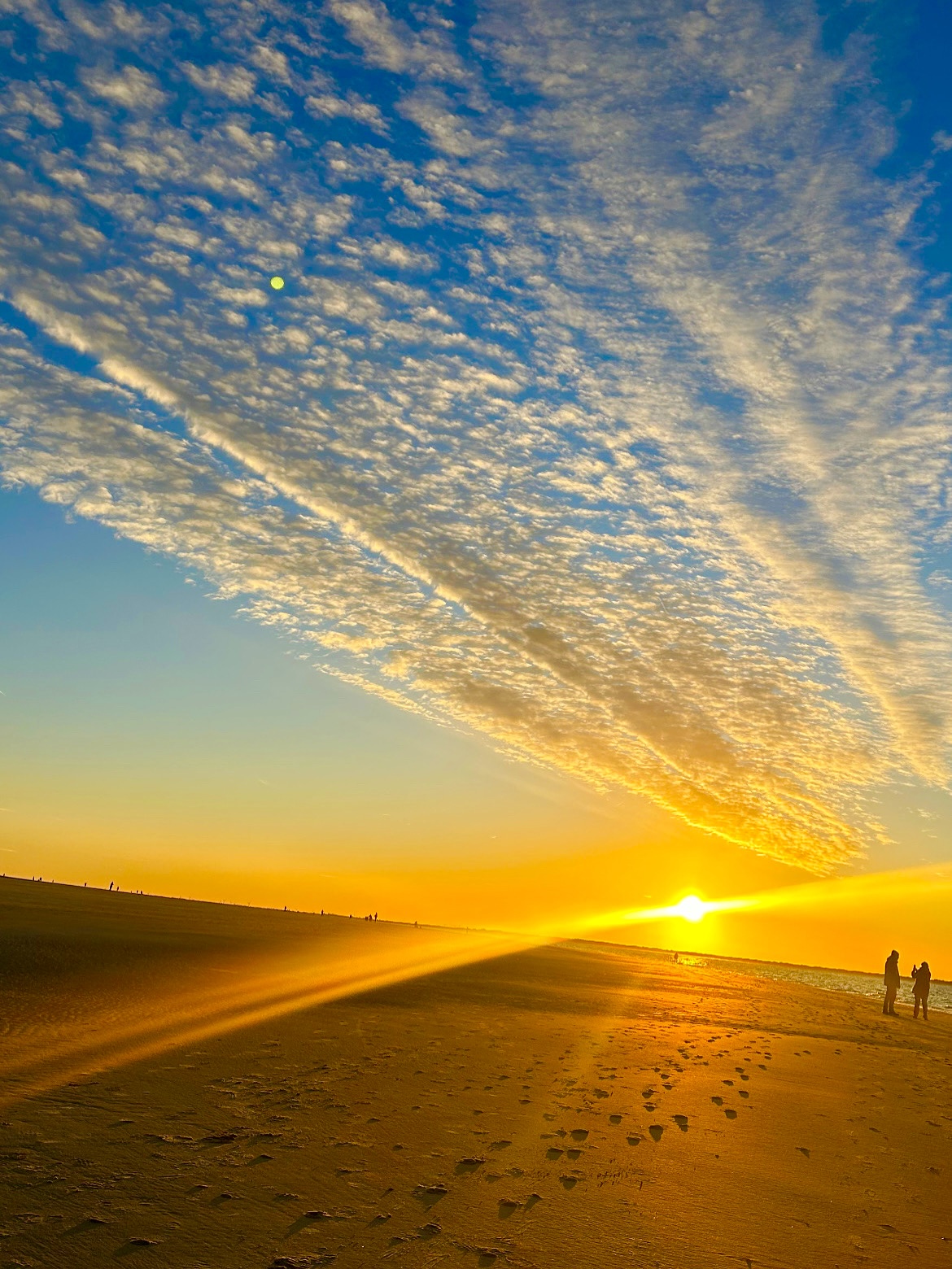 Naturerfahrung durch Yoga und Bewegungswellness