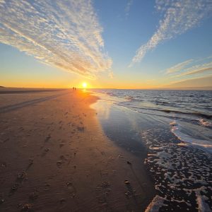 Gesundheitscoaching - Fit für den Beruf